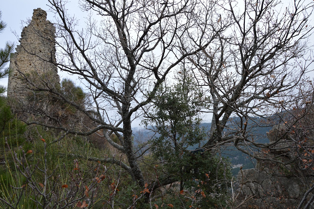 Beaumont tour - Foto: Dina Vercruyssen