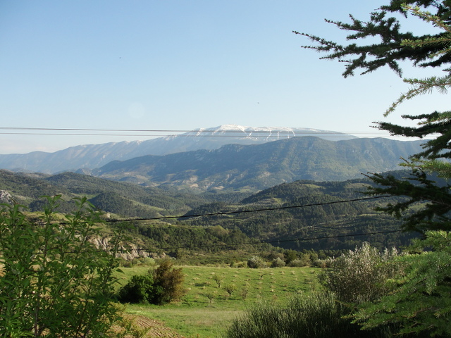Ventoux zicht met olijfbomen - Foto: Dina Vercruyssen