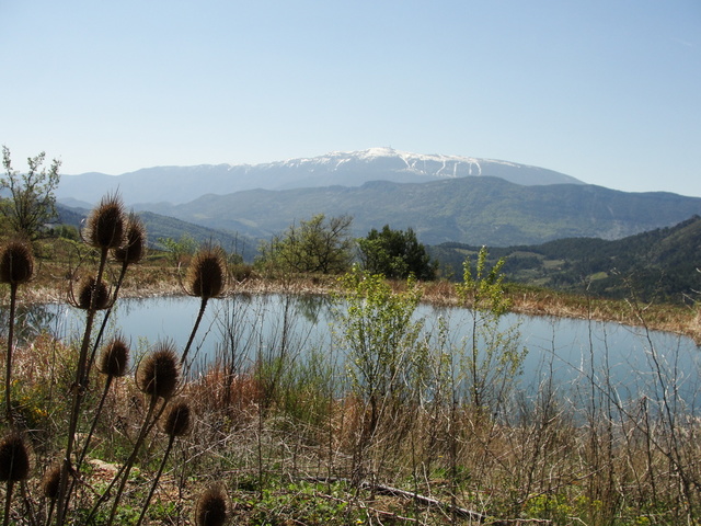 Poel - Foto: Dina Vercruyssen