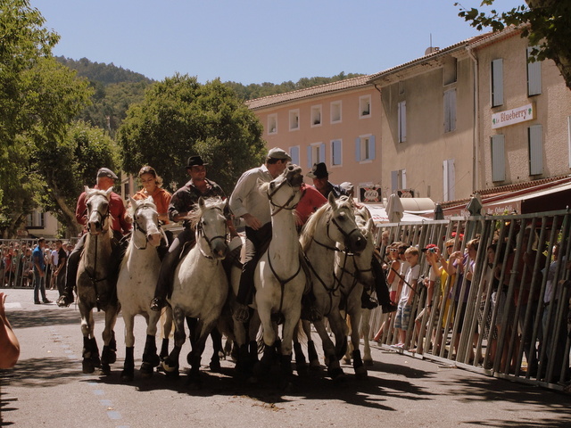 Malaucène - fête taurines. Foto: Dina Vercruyssen