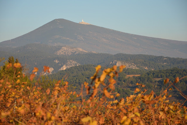 Zicht op Mont Ventoux. Foto: Dina Vercruyssen.
