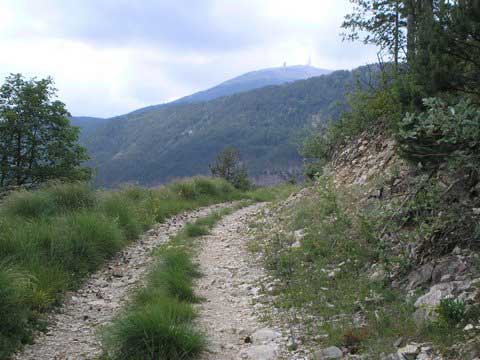 Route Thérèse Roumanille