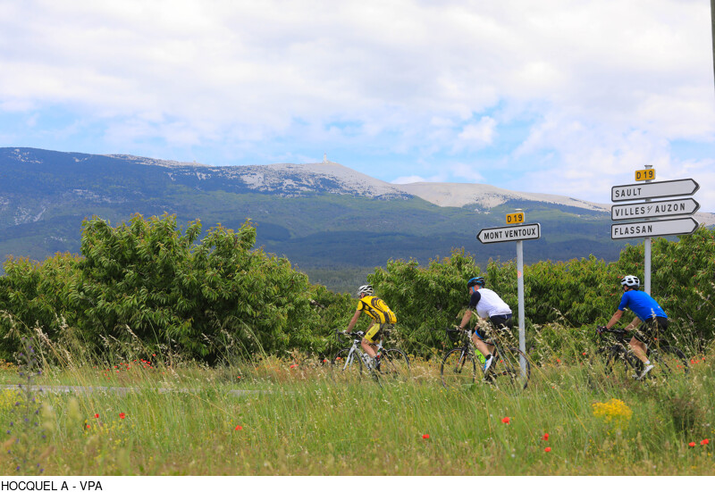 Fietsroutes Mont Ventoux en omgeving met GPX en hoogteprofielen